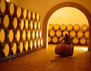 Bodegas Lezaun